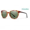 Smith Cheetah Sunglasses