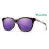 Smith Roam Sunglasses