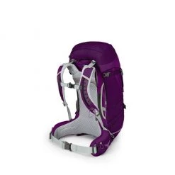 Osprey Backpacks Sirrus 36
