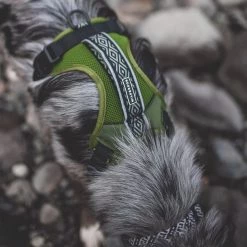 Wilderdog Harness Dog Accessories