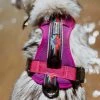 Wilderdog Harness Dog Accessories
